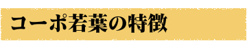北見工業大学 北見工大 北海道日赤看護大 北見看護大 専用のマンションと下宿 北見市下宿 賃貸不動産業 みんと